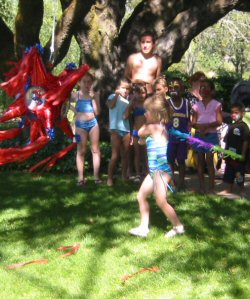 PicnicPinata2004