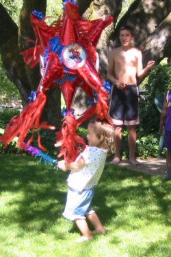 PicnicPinata2004