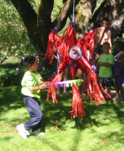 PicnicPinata2004